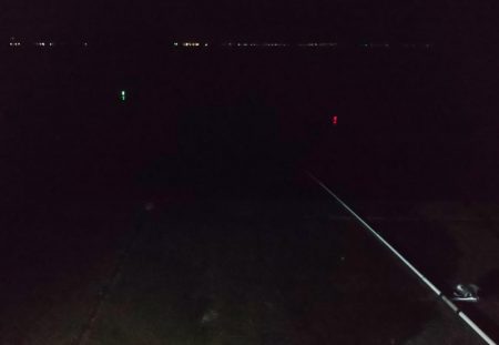 毎度です。リベンジヤリイカ釣り。