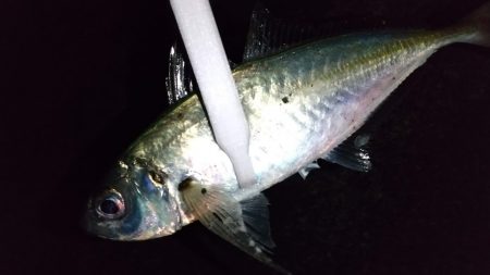 ライトゲームで3目