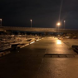 メバルプラッキング12