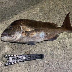 バケモノ釣れた