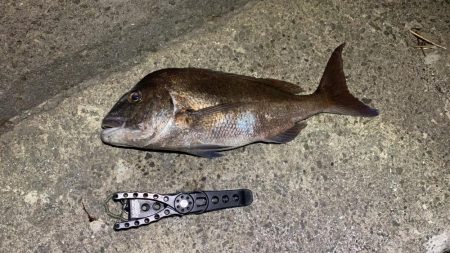 バケモノ釣れた