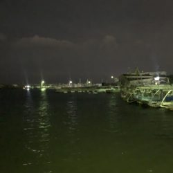 メバルプラッキング25