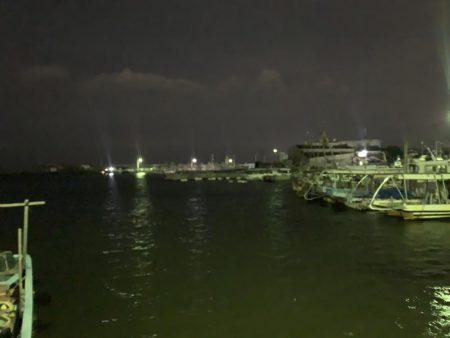 メバルプラッキング25