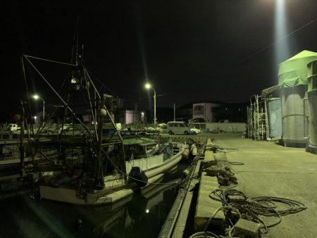 メバルプラッキング⑤