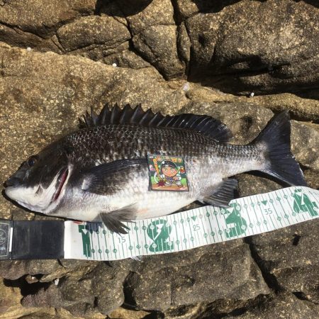 A.P.Pフィッシングガイドサービス　磯ヒ…