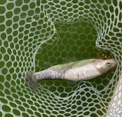 岸和田フィッシングパーク　