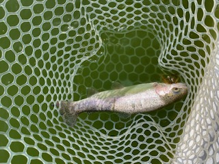 岸和田フィッシングパーク　