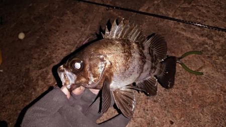 久しぶりのキーパーサイズ