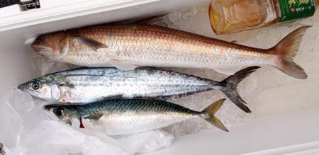 康仁丸・ジギング釣り果