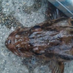 釣りデビュー 103日目