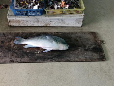 まさかの内側堤防で…