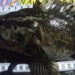 釣りデビュー　107日目