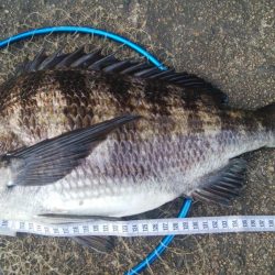 釣りデビュー 117日目