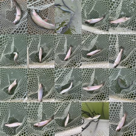 岸和田フィッシングパーク 好調維持