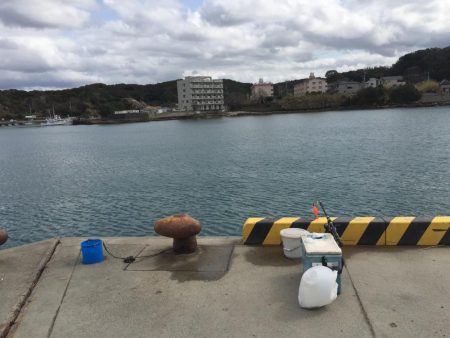 尺アジ含むアジ3匹、尺コノシロ、ビラ