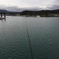 ヘダイ、コノシロ、ヒイラギ