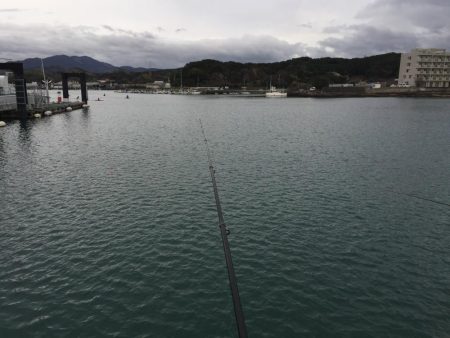 ヘダイ、コノシロ、ヒイラギ