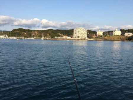 良型アジ、メバル、ヒイラギ