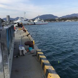 アジ20匹、太刀魚1匹