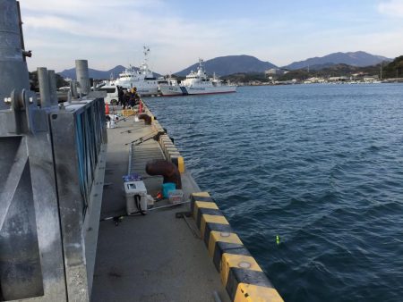 アジ20匹、太刀魚1匹