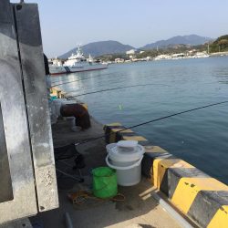 タチウオ（65㎝）1匹、コノシロ（最大30㎝）8匹