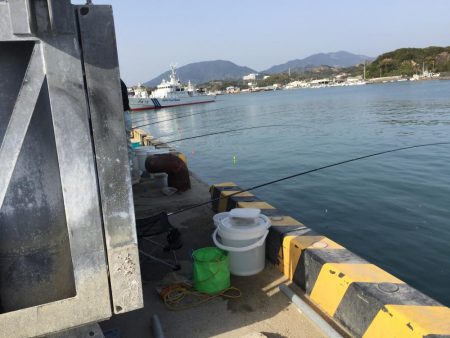 タチウオ（65㎝）1匹、コノシロ（最大30㎝）8匹