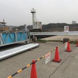 アジ24匹、太刀魚1匹、コノシロ6匹