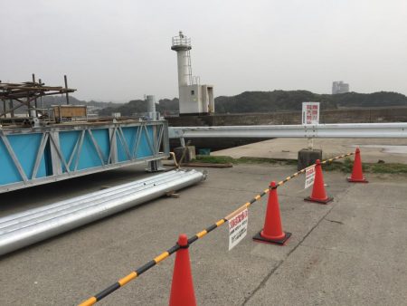 アジ24匹、太刀魚1匹、コノシロ6匹