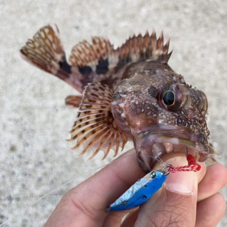 A.P.Pフィッシングガイドサービス メタルトスでRIDEON!