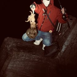 エギングでキロアップアオリイカ