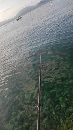 もう～終わりかな～