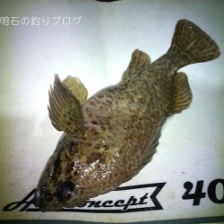 カサゴ釣り