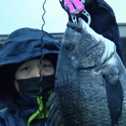 チヌがはいってきた！