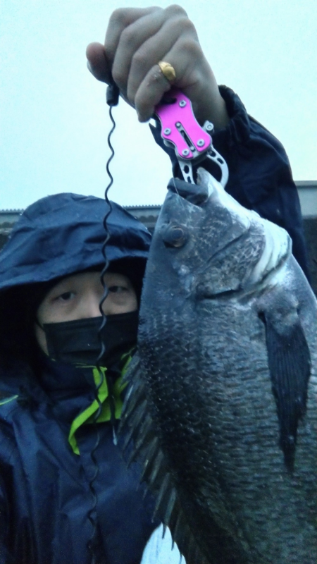 チヌがはいってきた！