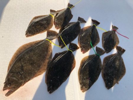 Magic（マジック） 釣果