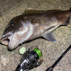 バケモノ釣れた