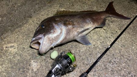 バケモノ釣れた