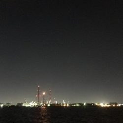 アジの食いしぶりハンパない