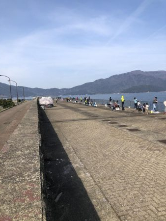 記録更新ならず