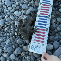 ショアジギングでメジロ！