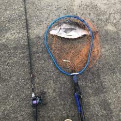 雨が上がりの朝