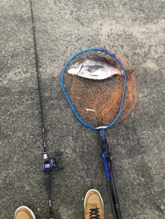 雨が上がりの朝