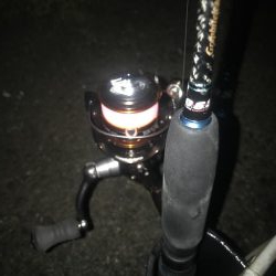 夕マズメのアジング