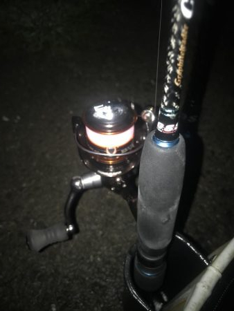 夕マズメのアジング