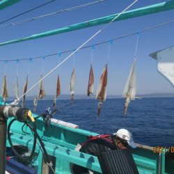 真鯛7.３ｋｇがヒット　他目鯛など(^_-)-☆