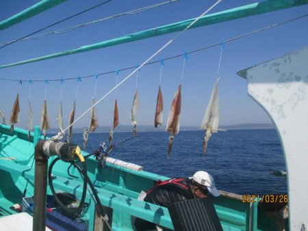 真鯛7.３ｋｇがヒット　他目鯛など(^_-)-☆