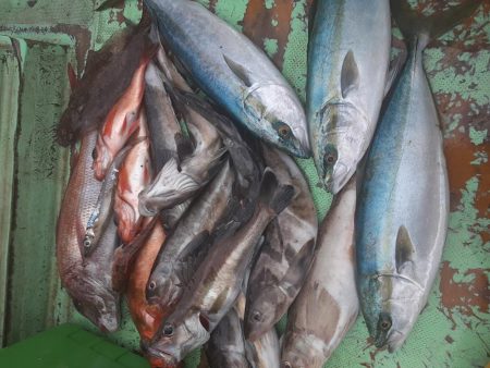 佐渡便五目ジギング&タイラバ