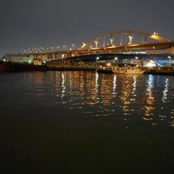 シーバス、ガシラは釣れたけど