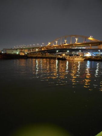 シーバス、ガシラは釣れたけど