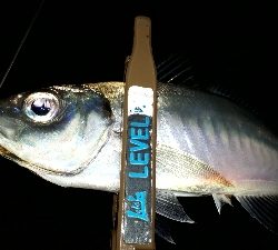 タイミングよく、ツ抜け